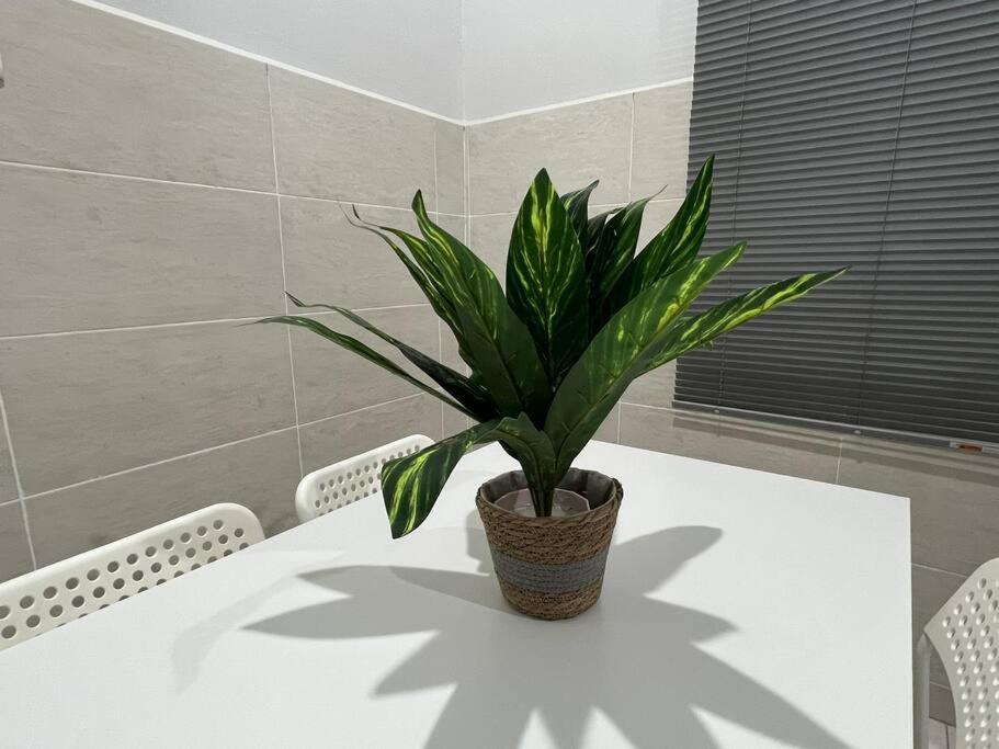 Chukai D'Sara Homestay Fully Furnished 3 Bedrooms All Aircond 2 Miles Centre מראה חיצוני תמונה